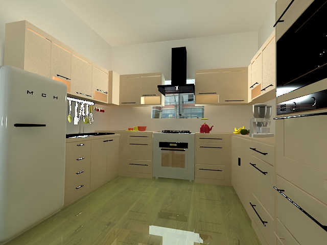 Dr J Menghani Kitchen 2011